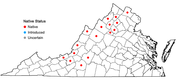 Locations ofClematis occidentalis (Hornemann) DC. var. occidentalis in Virginia