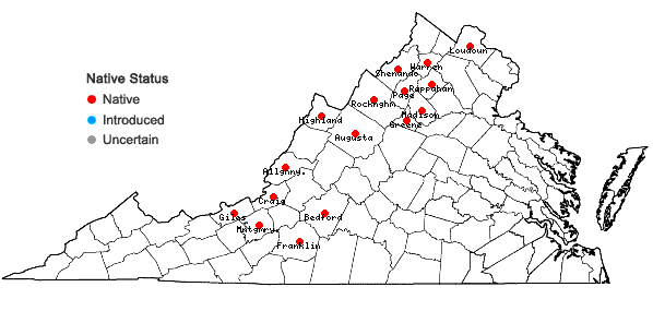 Locations ofClematis occidentalis (Hornemann) DC. var. occidentalis in Virginia
