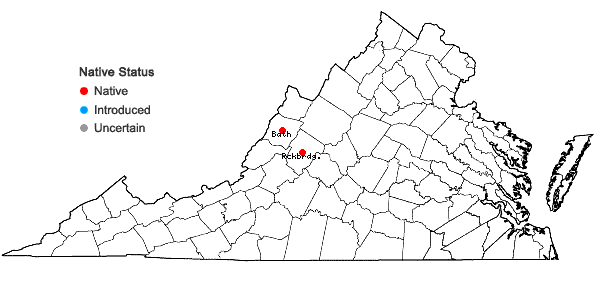 Locations ofClematis viticaulis Steele in Virginia