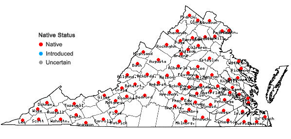 Locations ofClimacium americanum Bridel in Virginia