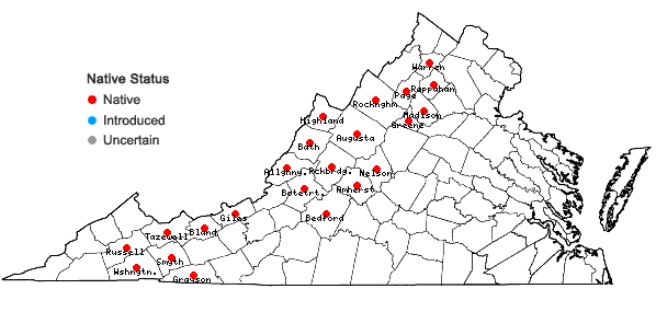 Locations ofClintonia borealis (Ait.) Raf. in Virginia