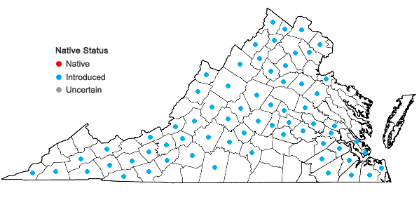 Locations ofConium maculatum L. in Virginia
