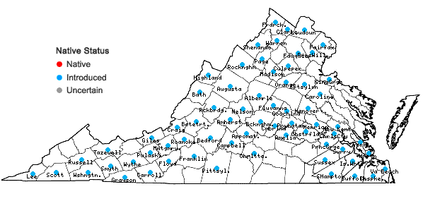 Locations ofConium maculatum L. in Virginia