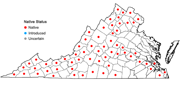 Locations ofConopholis americana (L.) Wallroth in Virginia