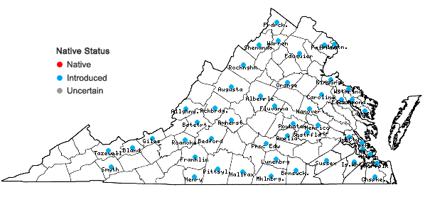 Locations ofConsolida ajacis (L.) Schur. in Virginia