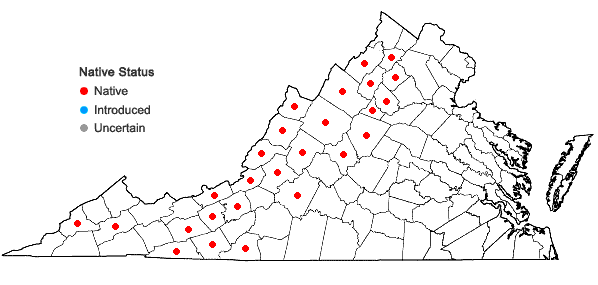 Locations ofCorallorhiza maculata (Raf.) Raf. var. maculata in Virginia