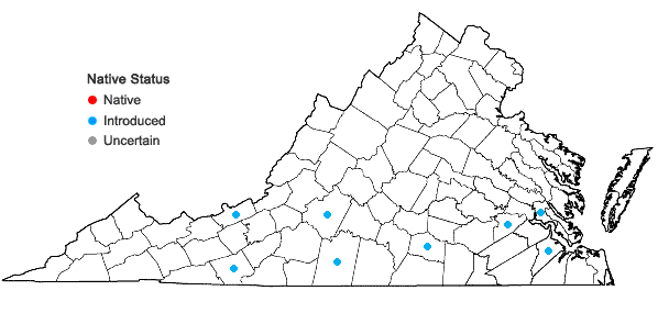 Locations ofCoreopsis grandiflora Hogg ex Sweet var. harveyana (Gray) Sherff in Virginia