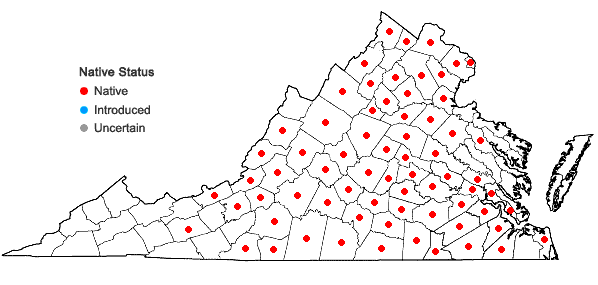 Locations ofCoreopsis verticillata L. in Virginia