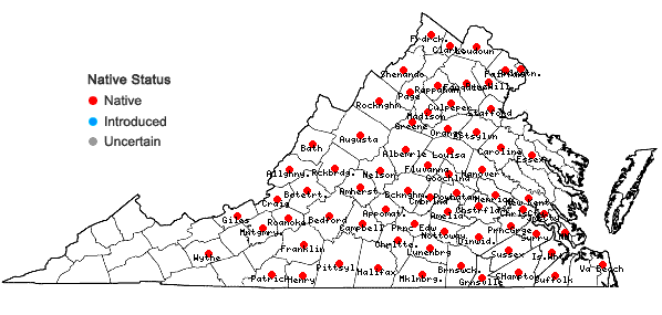 Locations ofCoreopsis verticillata L. in Virginia