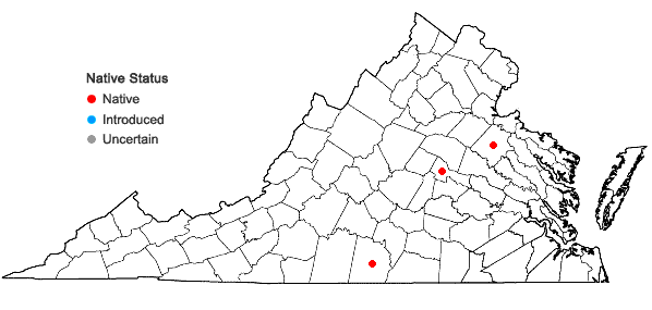 Locations ofCoreopsis ×delphiniifolia Lam. in Virginia