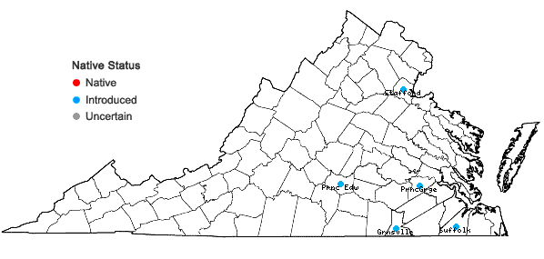 Locations ofCosmos bipinnatus Cav. in Virginia
