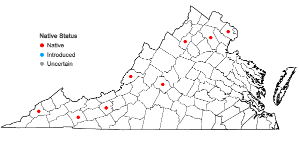 Locations ofCrataegus calpodendron (Ehrh.) Medik. in Virginia
