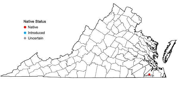 Locations ofCrataegus pexa Beadle in Virginia
