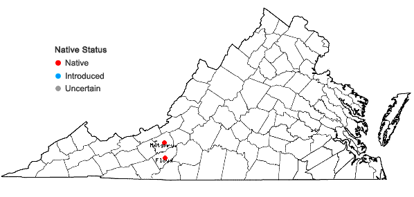 Locations ofCrataegus pruinosa (Wendl. f.) K. Koch var. gattingeri (Ashe) R.W. Lance in Virginia
