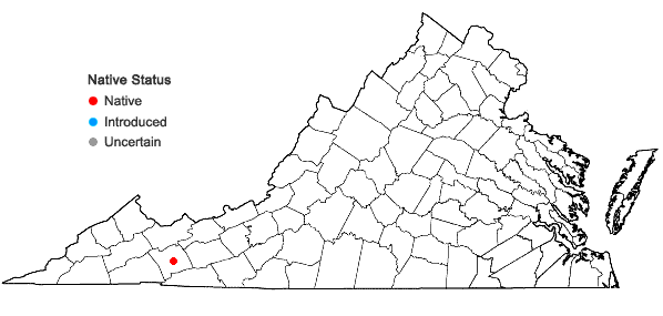 Locations ofCrataegus scabrida Sargent var. asperifolia (Sargent) Kruschke in Virginia