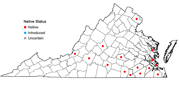 Locations ofCrataegus viridis L. var. viridis in Virginia