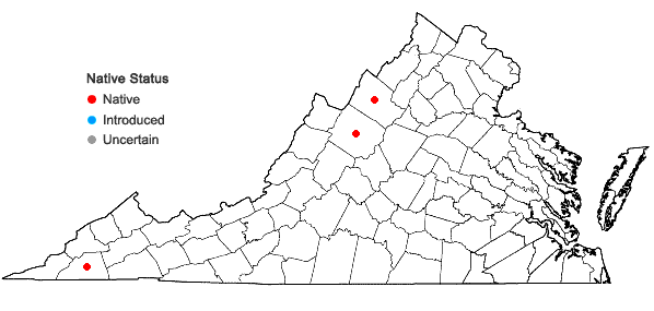 Locations ofCrataegus ×disperma Ashe in Virginia