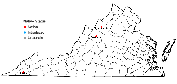Locations ofCrataegus ×disperma Ashe in Virginia
