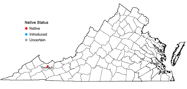 Locations ofCrataegus ×persimilis Sargent in Virginia