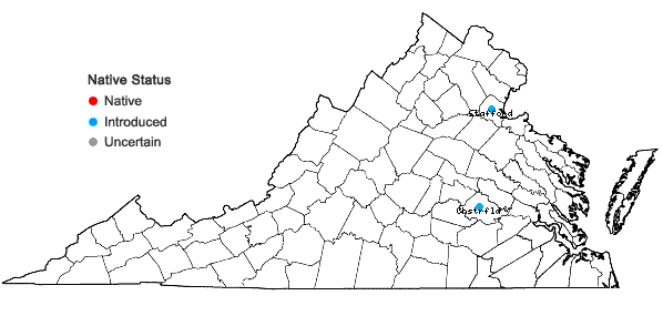 Locations ofCrepis tectorum L. in Virginia