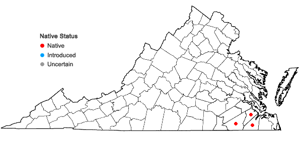 Locations ofCrotalaria rotundifolia Walt. ex J.F. Gmel. in Virginia