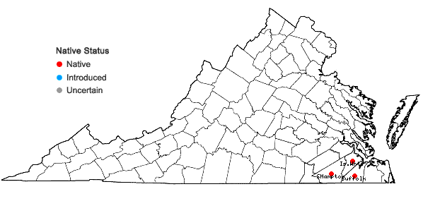 Locations ofCrotalaria rotundifolia Walt. ex J.F. Gmel. in Virginia
