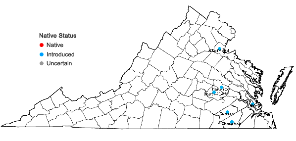 Locations ofCrotalaria spectabilis Roth in Virginia