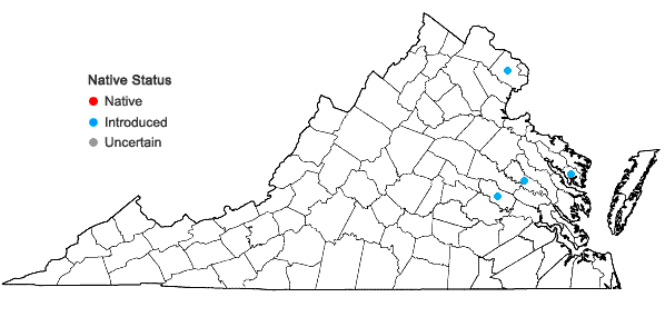 Locations ofCucumis melo L. in Virginia