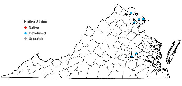 Locations ofCucurbita pepo L. in Virginia