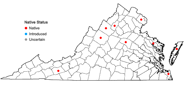 Locations ofCuscuta polygonorum Engelm. in Virginia