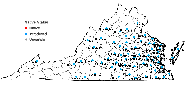 Locations ofCyanus segetum Hill in Virginia