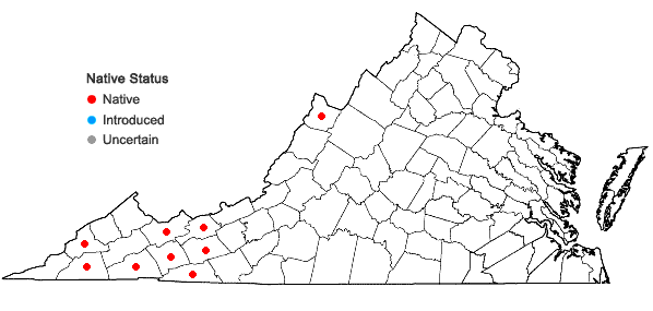Locations ofCymophyllus fraserianus (Ker-Gawler) Kartesz & Gandhi in Virginia