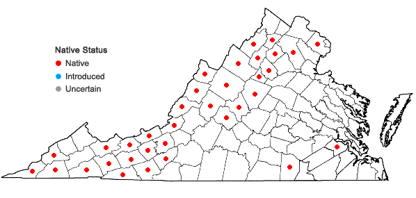 Locations ofDanthonia compressa Austin in Virginia