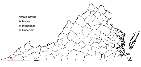 Locations ofDasistoma macrophyllum (Nutt.) Raf. in Virginia