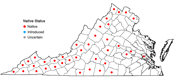 Locations ofDelphinium tricorne Michx. in Virginia