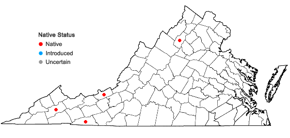 Locations ofDeschampsia cespitosa (L.) Beauv. in Virginia