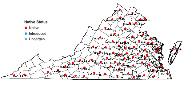 Locations ofDesmodium marilandicum (L.) DC. in Virginia