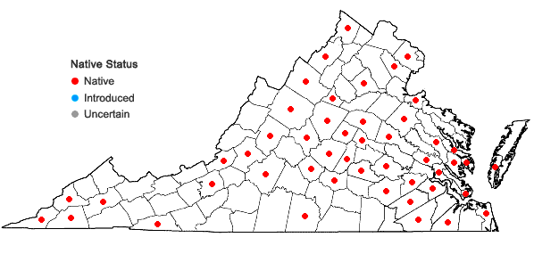Locations ofDesmodium obtusum (Muhl. ex Willd.) DC. in Virginia