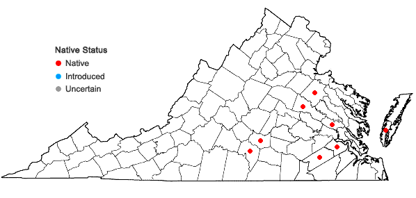 Locations ofDesmodium ochroleucum M.A. Curtis ex Canby in Virginia