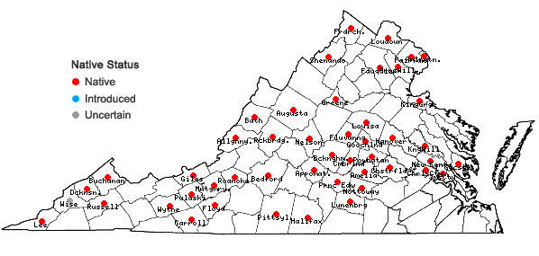 Locations ofDesmodium perplexum Schub. in Virginia