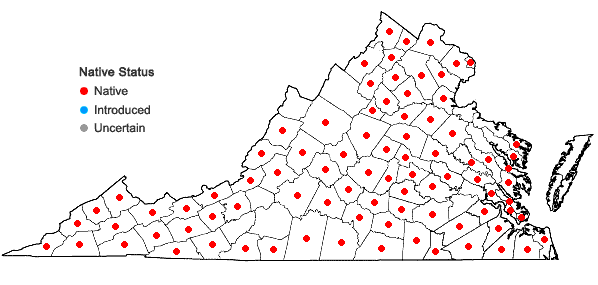 Locations ofDesmodium rotundifolium DC. in Virginia