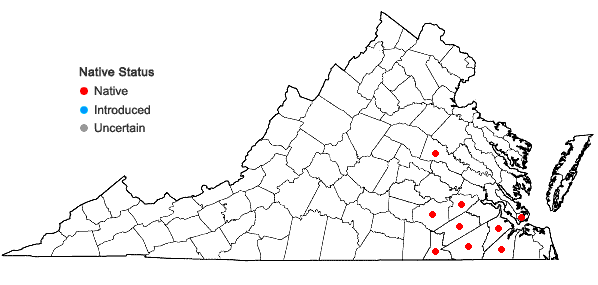 Locations ofDesmodium tenuifolium Torr. & Gray in Virginia