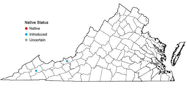 Locations ofDianthus barbatus L. in Virginia