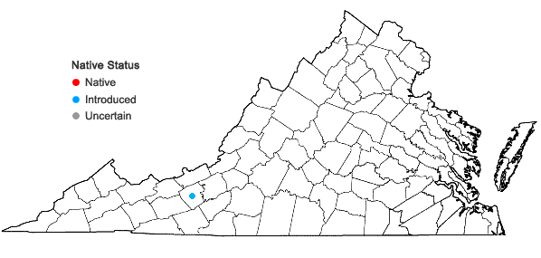Locations ofDianthus plumarius L. ssp. plumarius in Virginia