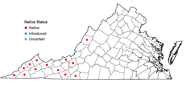 Locations ofDiarrhena americana Beauv. in Virginia