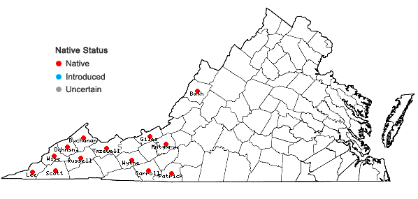 Locations ofDiarrhena americana Beauv. in Virginia
