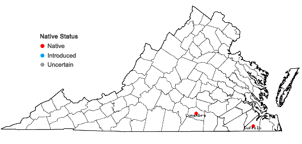 Locations ofDichanthelium arenicoloides (Ashe) LeBlond in Virginia