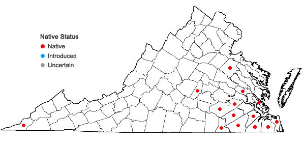 Locations ofDichanthelium consanguineum (Kunth) Gould & C.A. Clark in Virginia