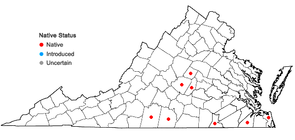 Locations ofDichanthelium dichotomum (L.) Gould var. nitidum (Lam.) LeBlond in Virginia