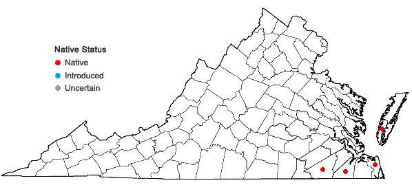 Locations ofDichanthelium filiramum (Ashe) LeBlond in Virginia